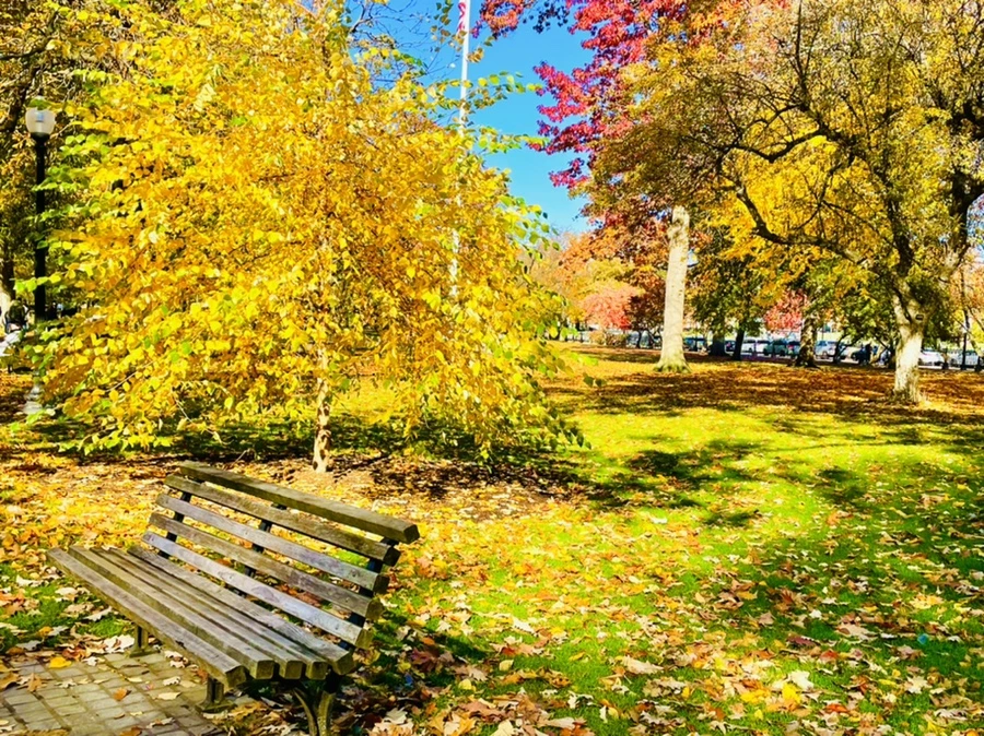 IMG_2602.jpg?type=w966