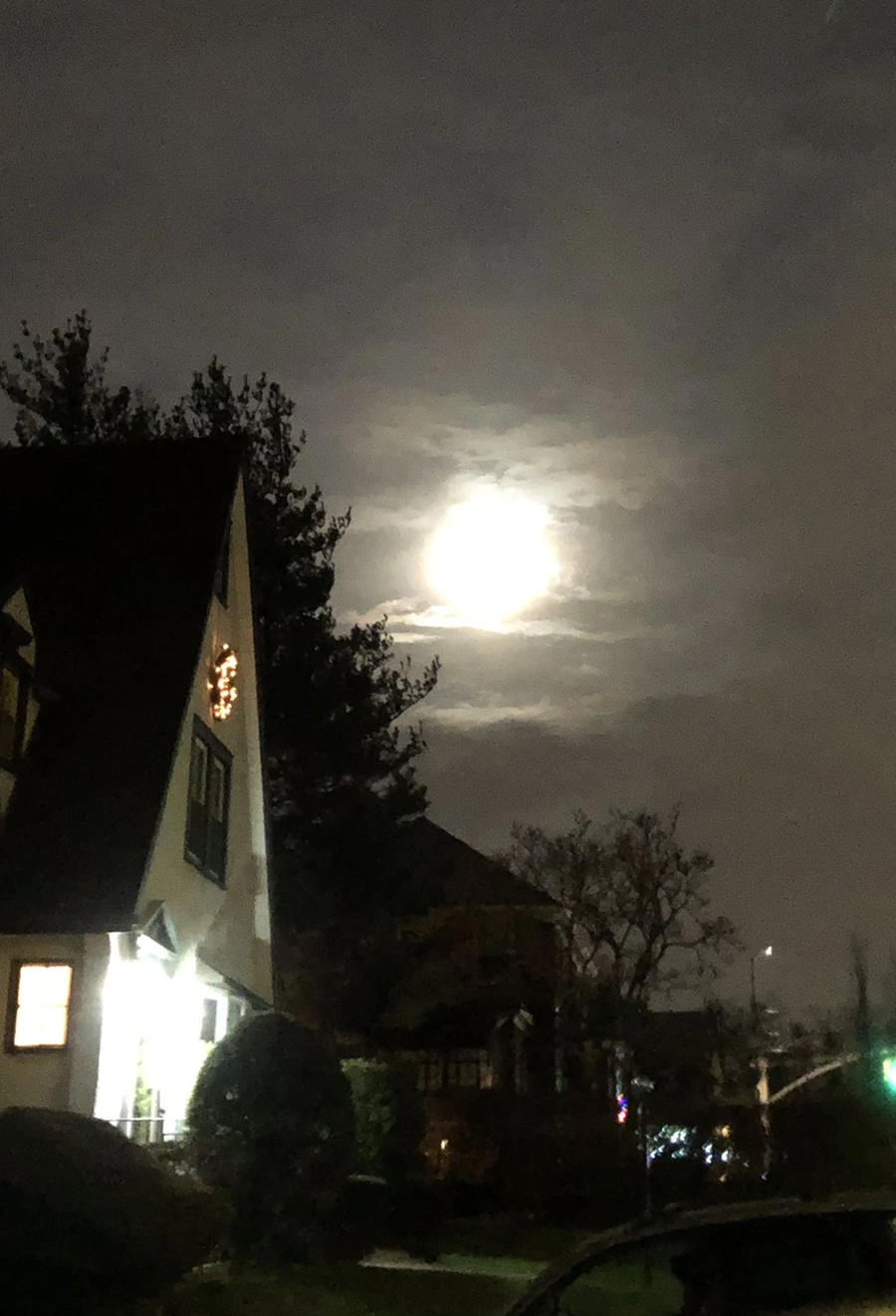 IMG_8572.jpg?type=w966