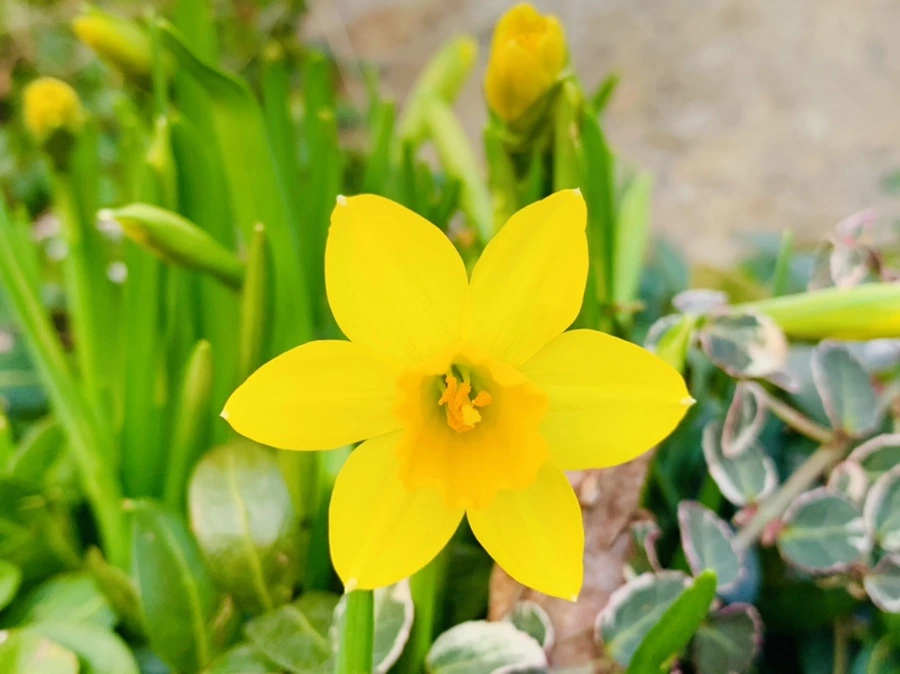 IMG_2721.jpg?type=w966