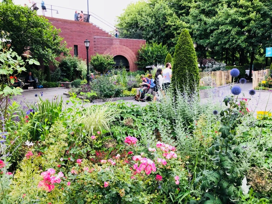 IMG_8423.jpg?type=w966