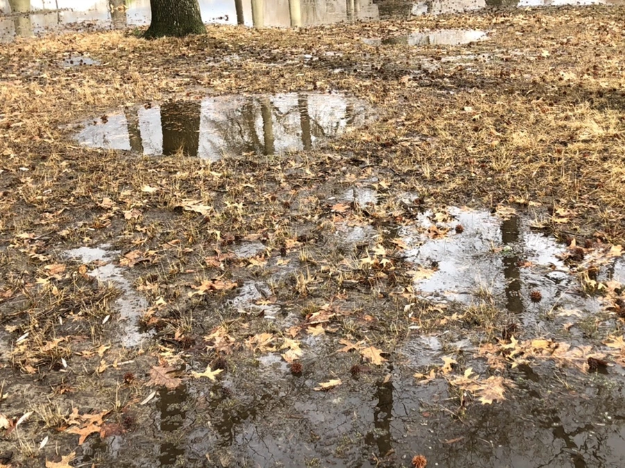 IMG_3473.jpg?type=w966