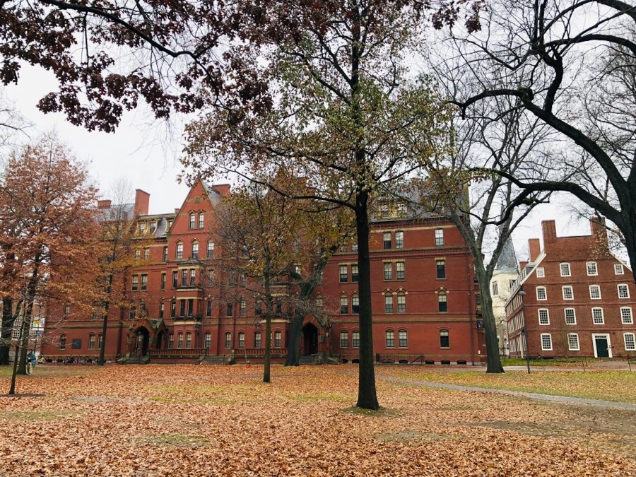 IMG_8087.jpg?type=w966