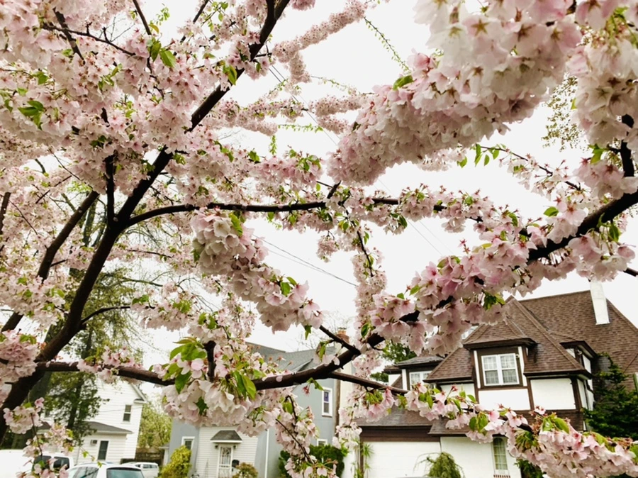 IMG_2254.jpg?type=w966