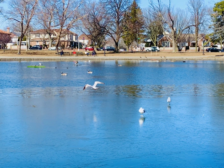 IMG_8958.jpg?type=w966