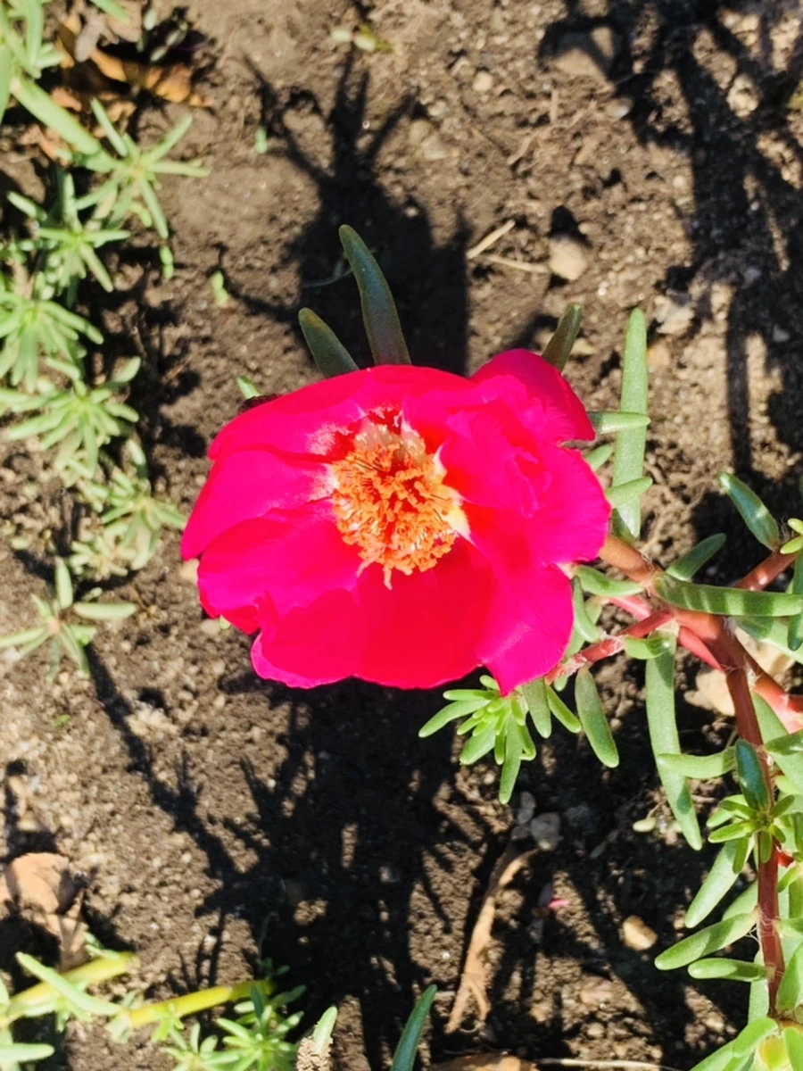 IMG_8419.jpg?type=w966