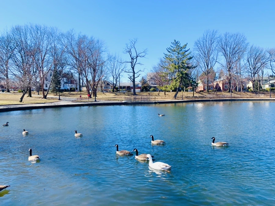 IMG_7508.jpg?type=w966