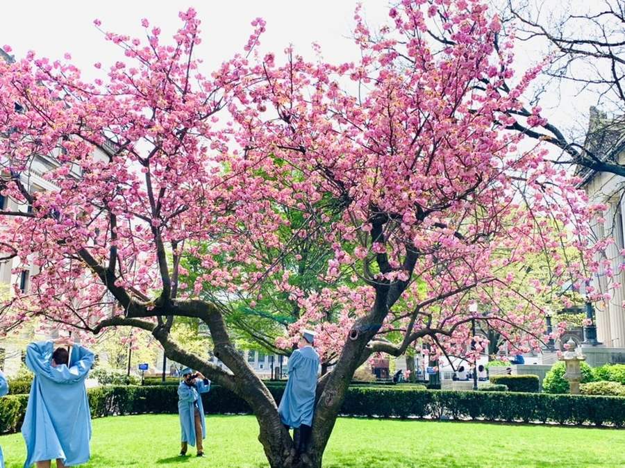 IMG_5094.jpg?type=w966