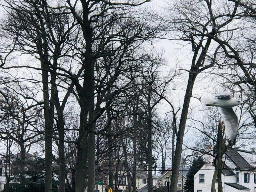 IMG_5938.jpg?type=w966