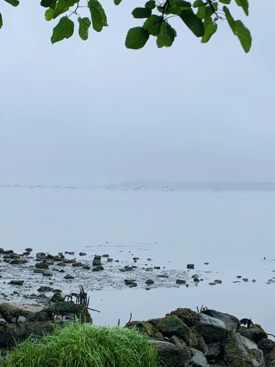 IMG_4749.jpg?type=w966