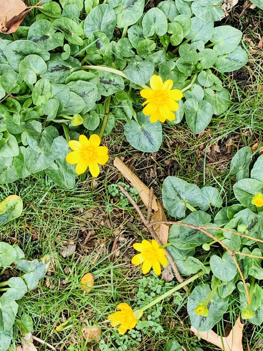 IMG_4055.jpg?type=w966