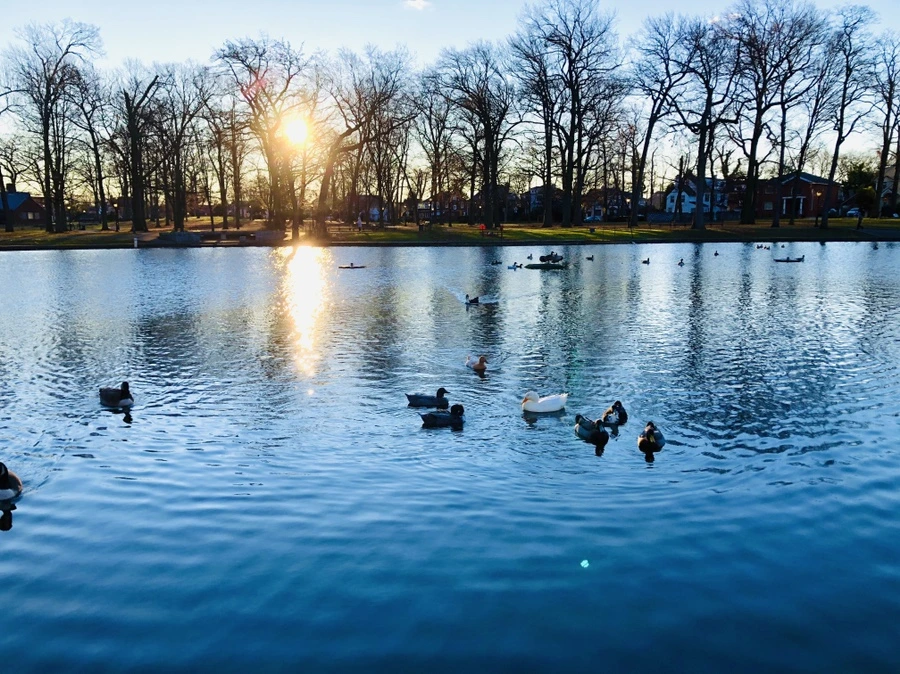 IMG_5945.jpg?type=w966