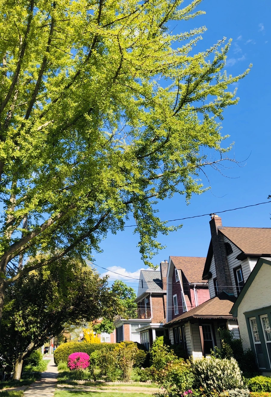 IMG_7253.jpg?type=w966