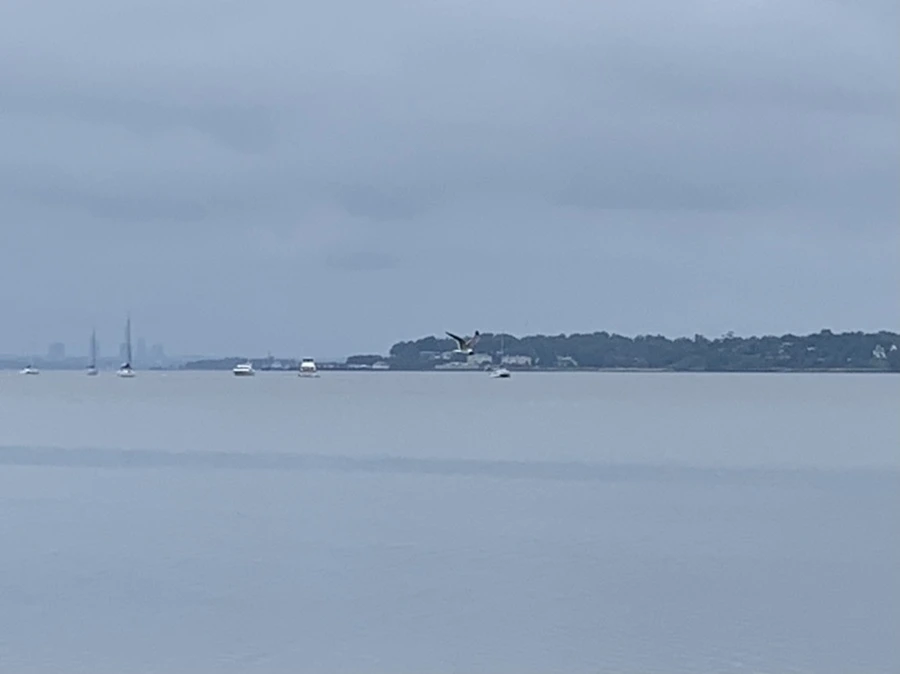 IMG_3741.jpg?type=w966