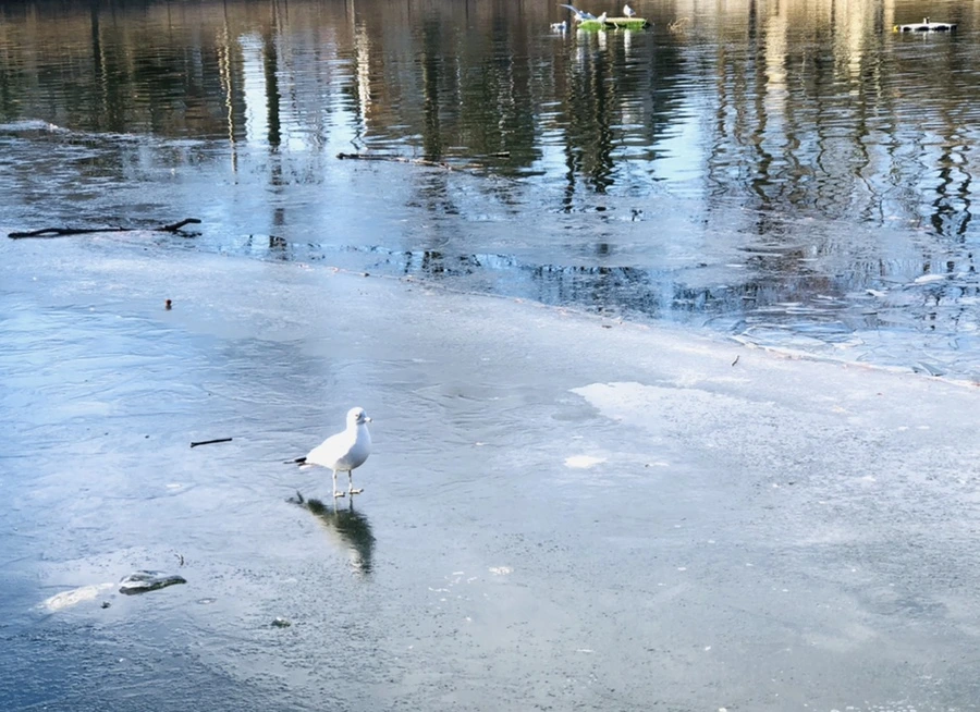 IMG_1820.jpg?type=w966