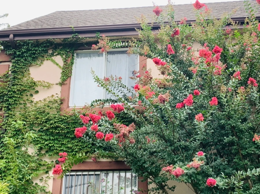 IMG_5937.jpg?type=w966