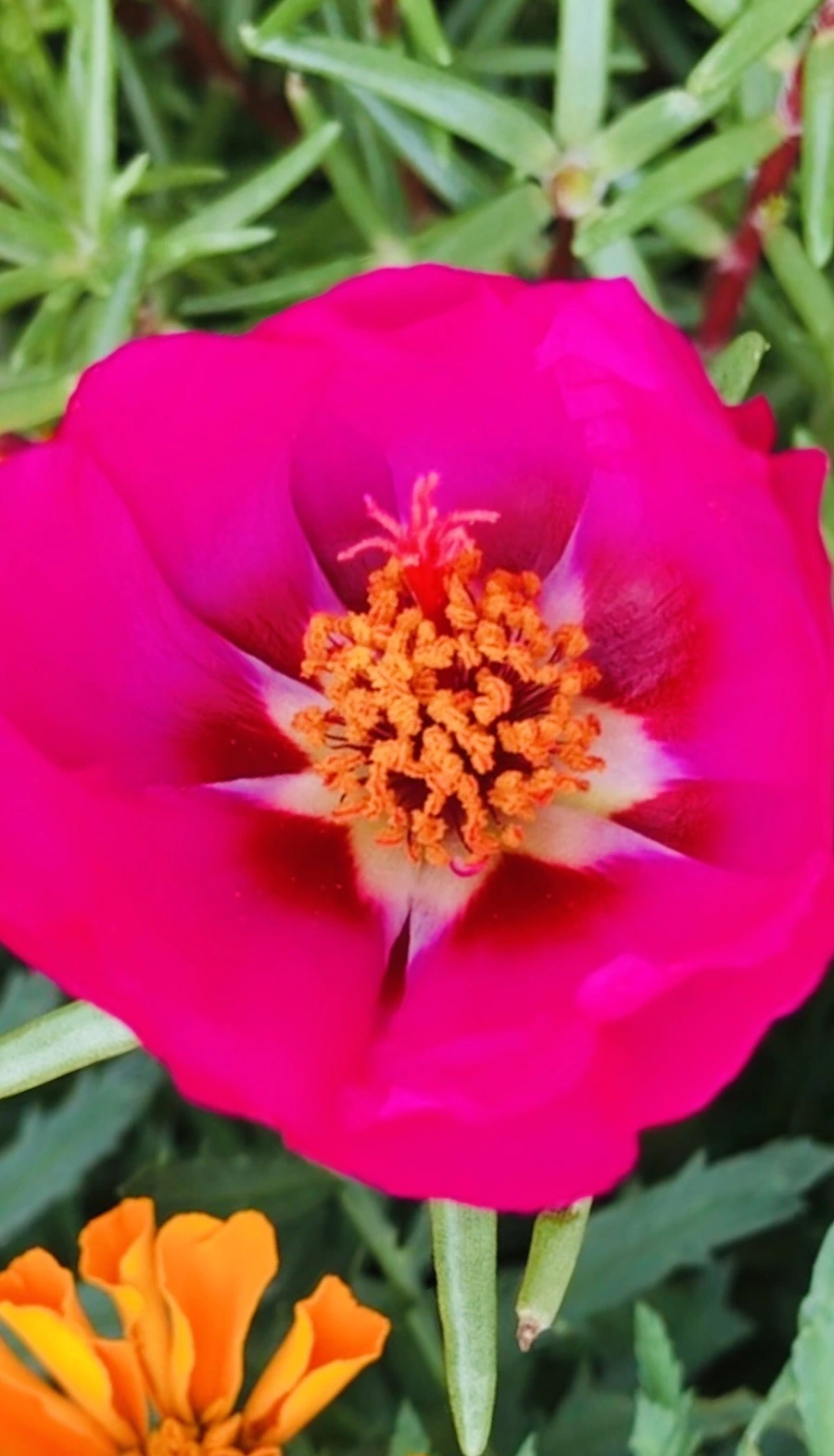 siQOizwVTyleLOfthOrwYdrb-I8