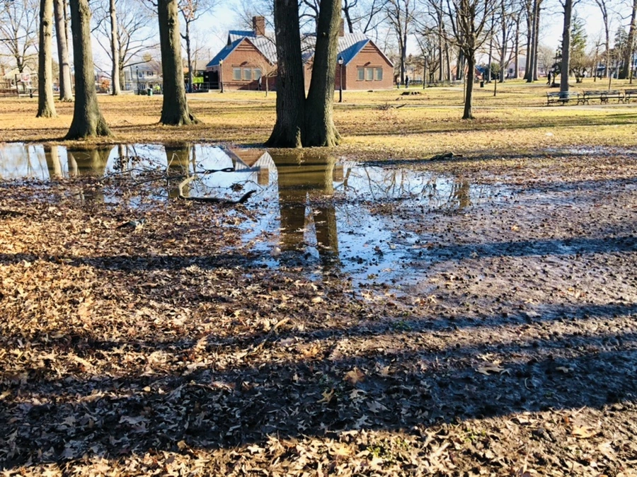 IMG_0257.jpg?type=w966