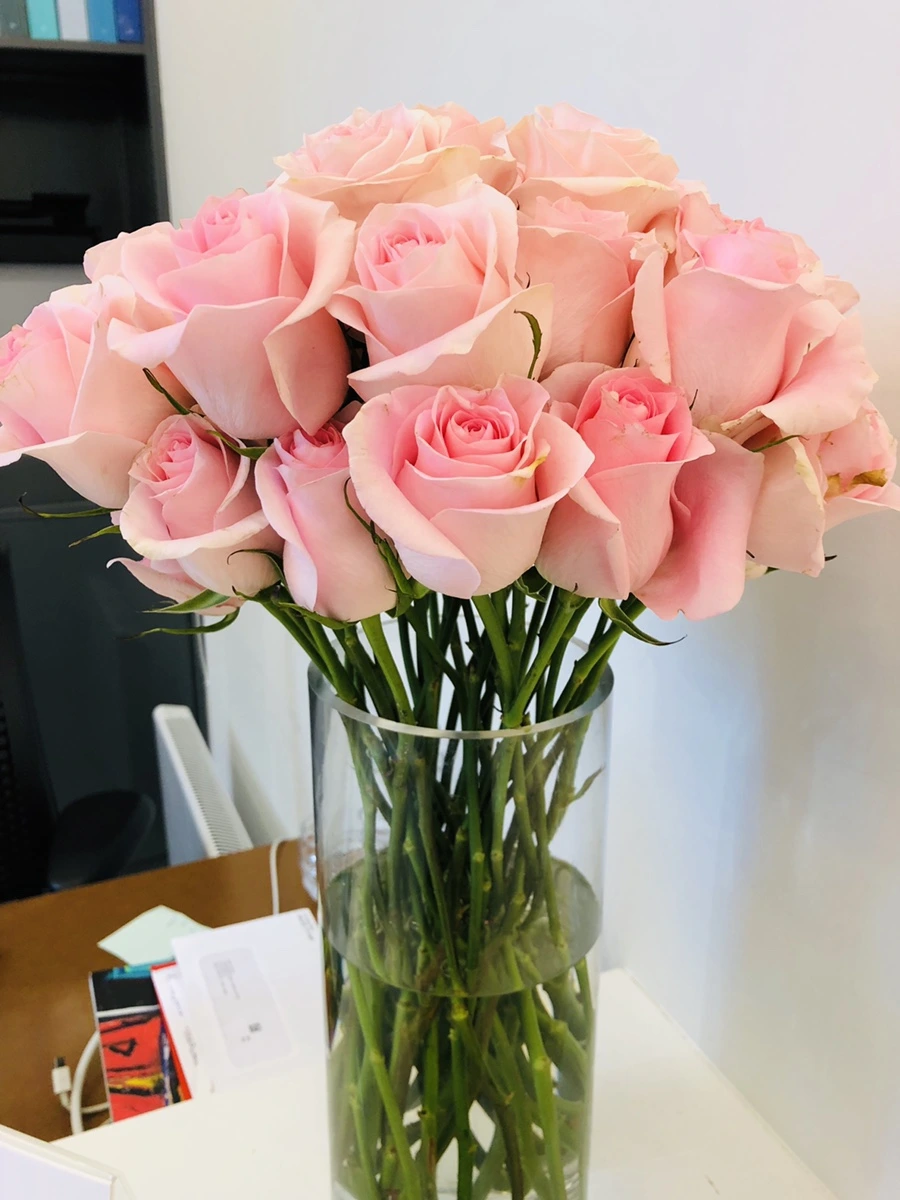 IMG_9454.jpg?type=w966