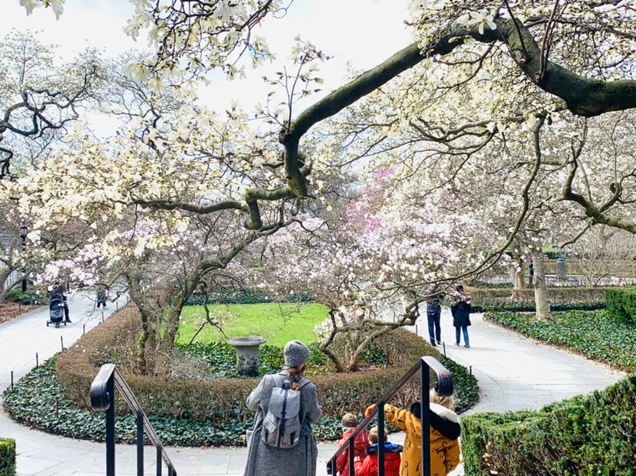 IMG_6467.jpg?type=w966