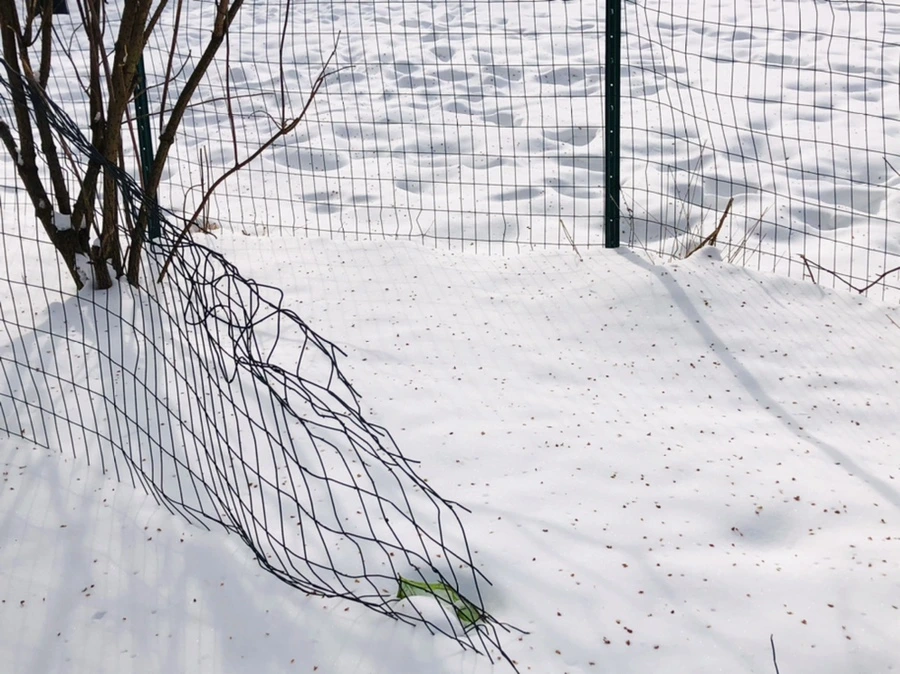 IMG_2165.jpg?type=w966