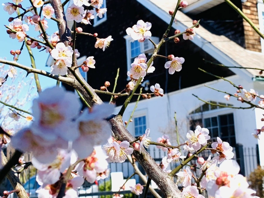 IMG_1314.jpg?type=w966