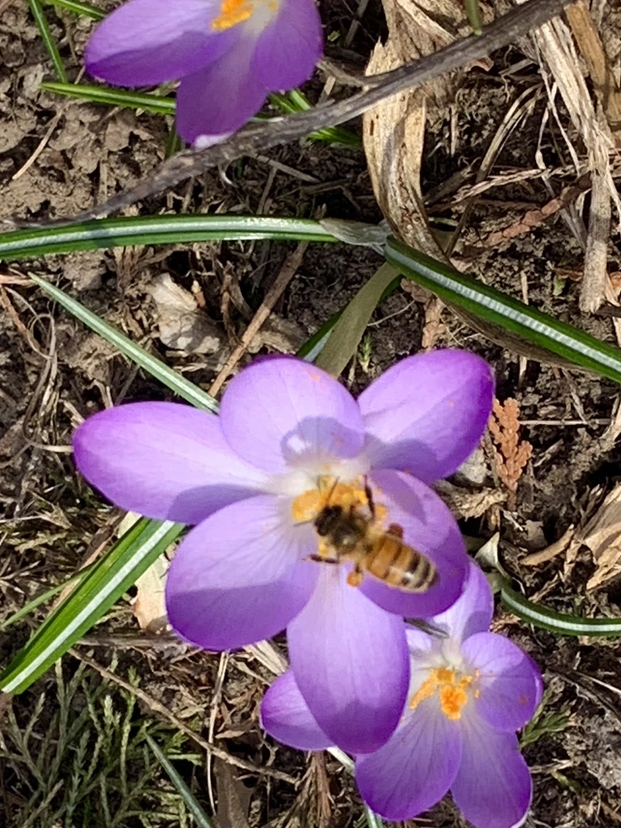 IMG_0273.jpg?type=w966