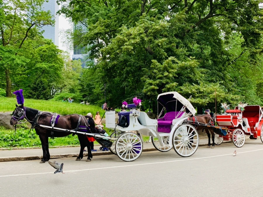 IMG_3293.jpg?type=w966