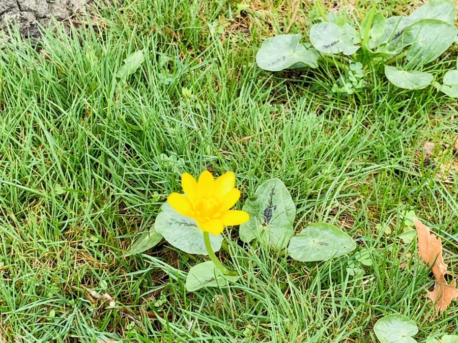 IMG_4058.jpg?type=w966