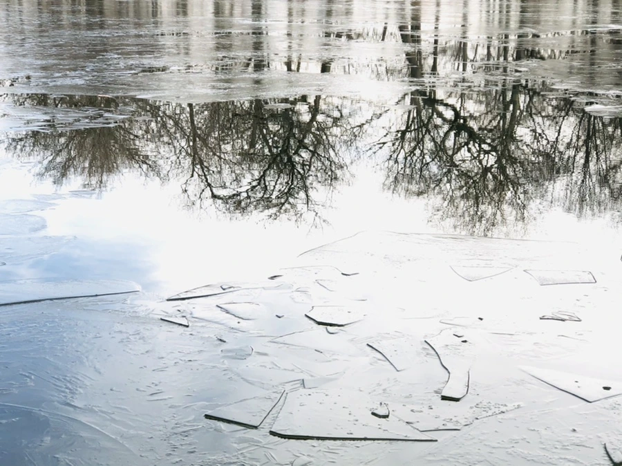 IMG_4771.jpg?type=w966