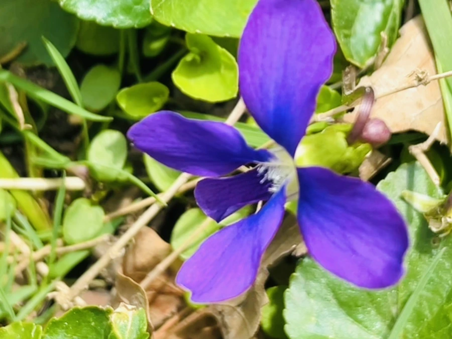 IMG_2324.jpg?type=w966