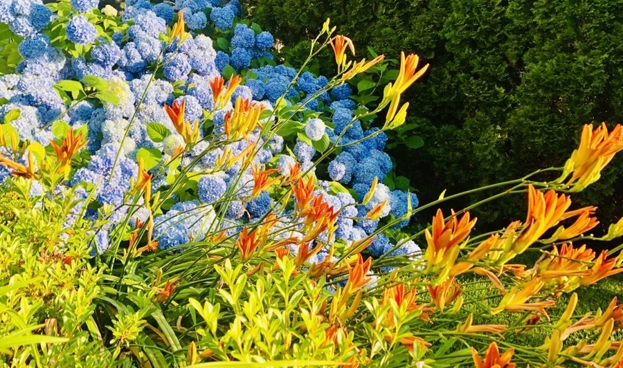 FFhiFAuhPreodaguL7nNZknCI38