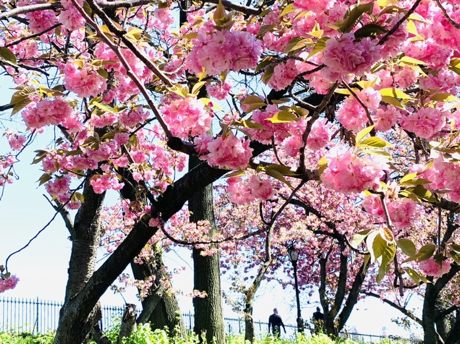 IMG_5835.jpg?type=w966