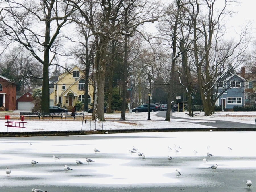 IMG_6297.jpg?type=w966