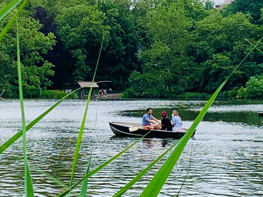 IMG_3388.jpg?type=w966