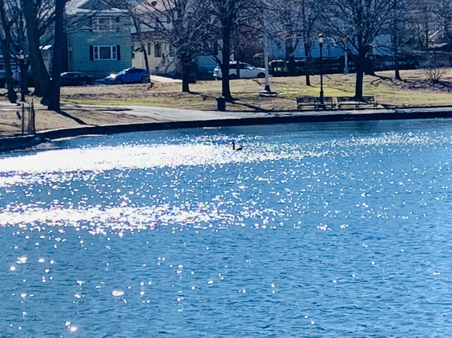 IMG_7559.jpg?type=w966