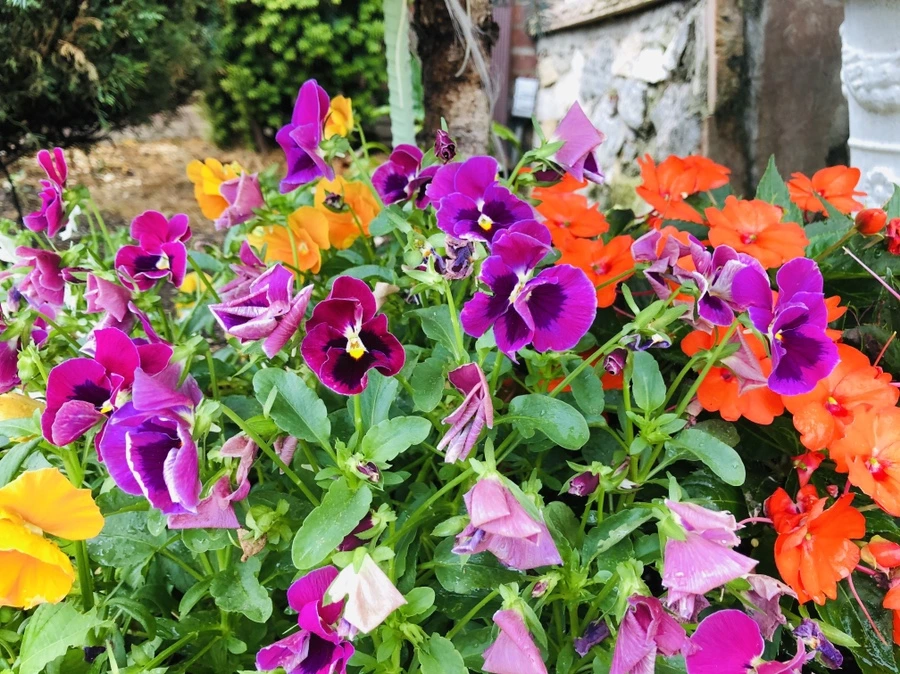 IMG_1683.jpg?type=w966