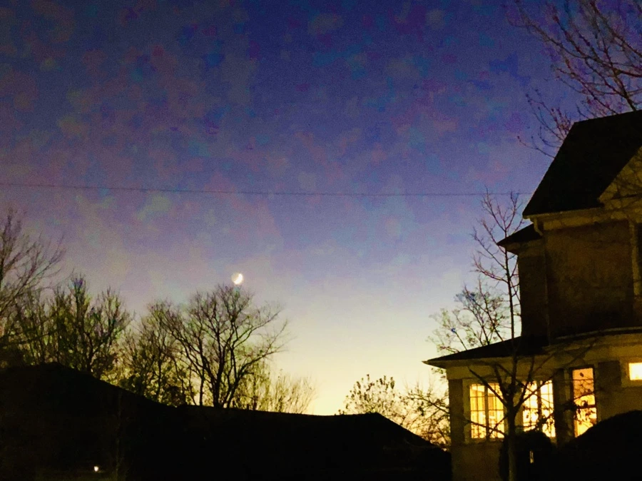 IMG_4906.jpg?type=w966