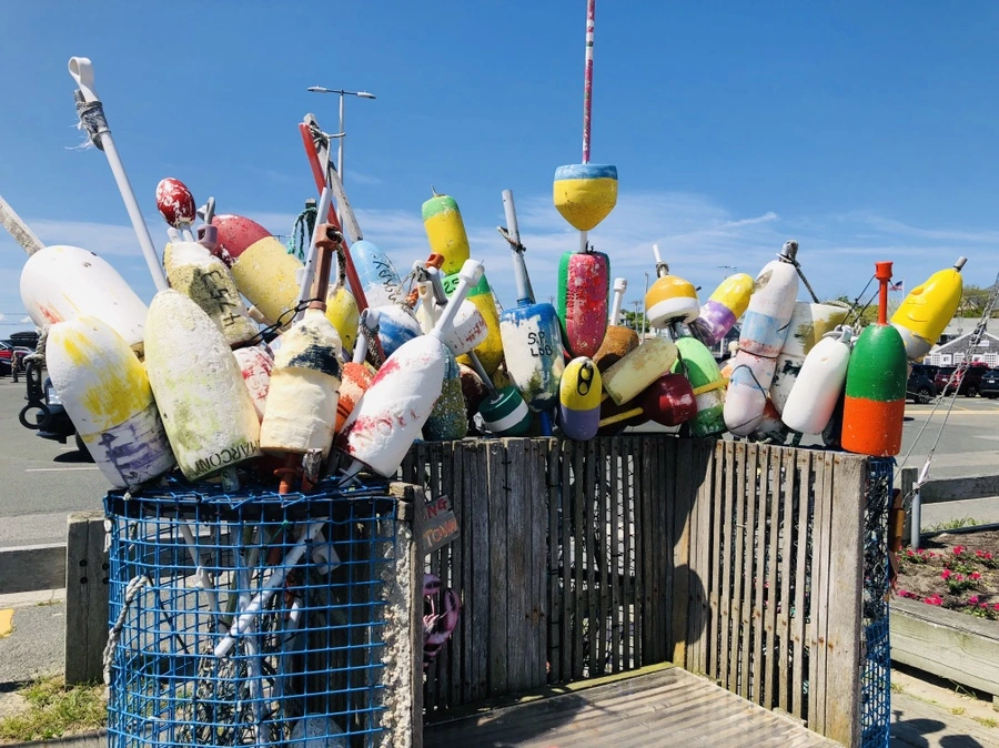 IMG_5006.jpg?type=w966