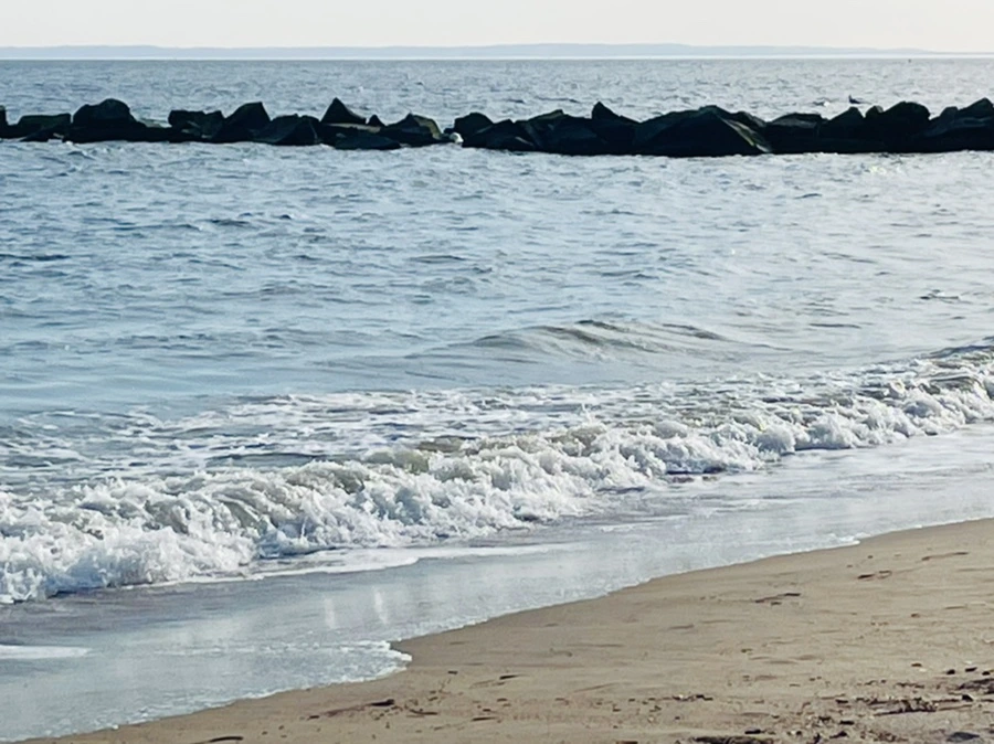 IMG_5078.jpg?type=w966