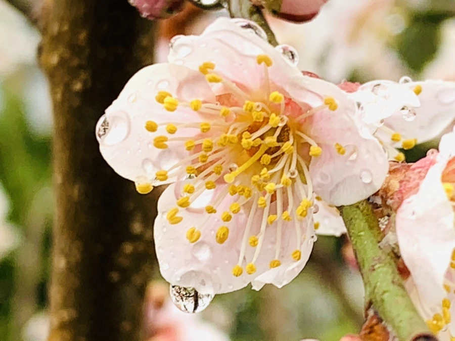 IMG_1879.jpg?type=w966