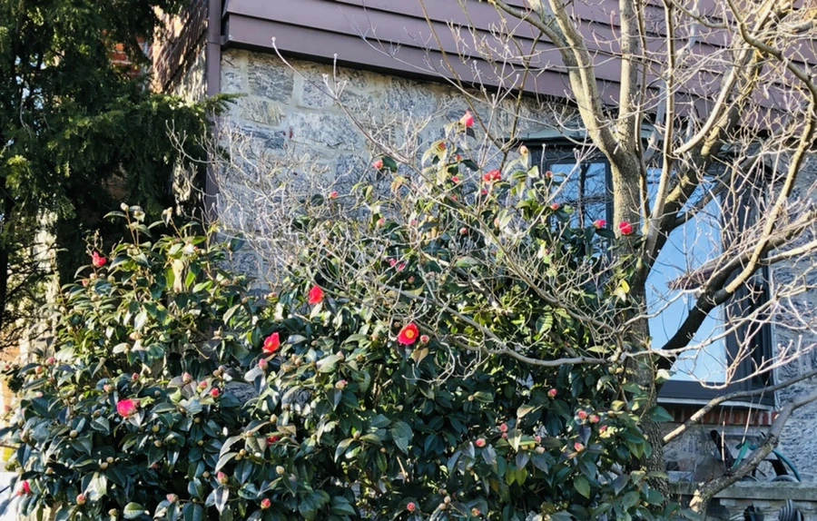 IMG_0330.jpg?type=w966