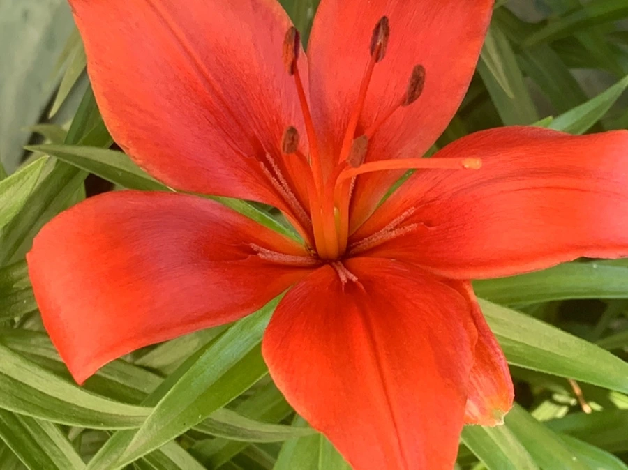 IMG_3969.jpg?type=w966