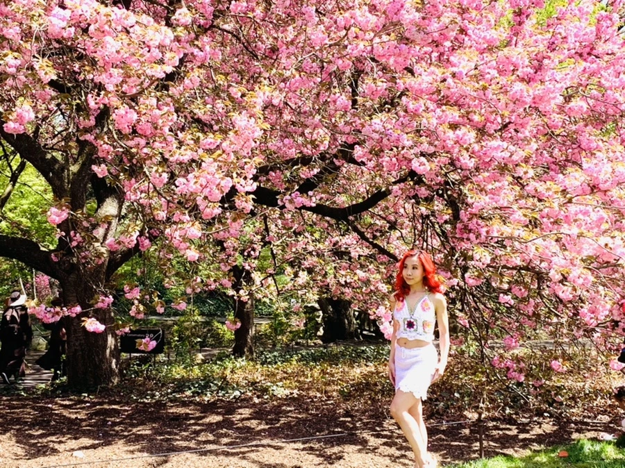 IMG_6464.jpg?type=w966