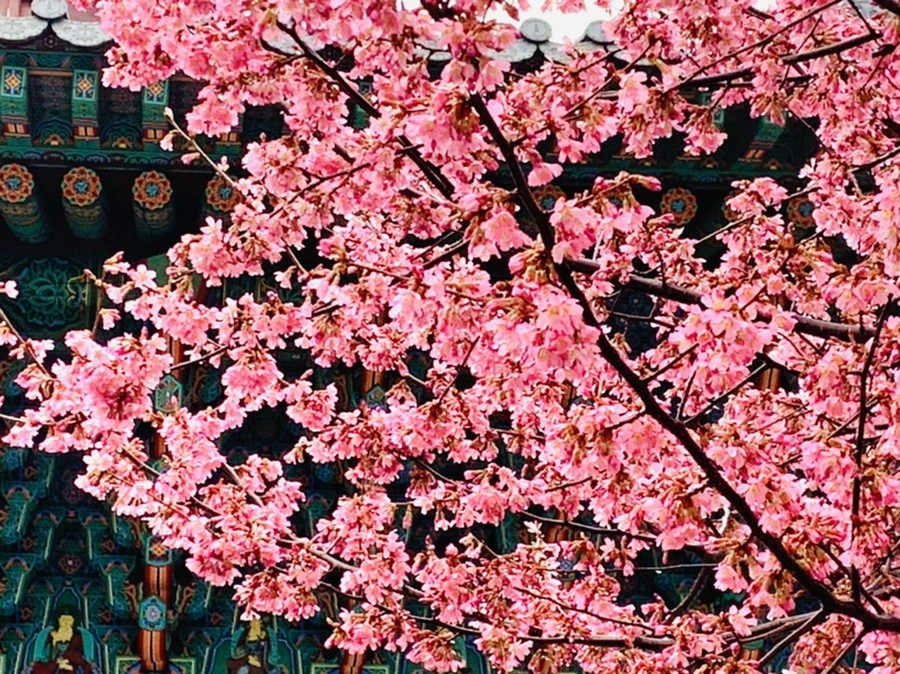 IMG_5235.jpg?type=w966