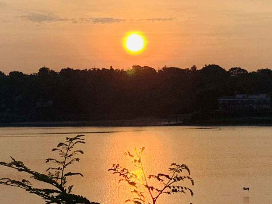 IMG_7753.jpg?type=w966