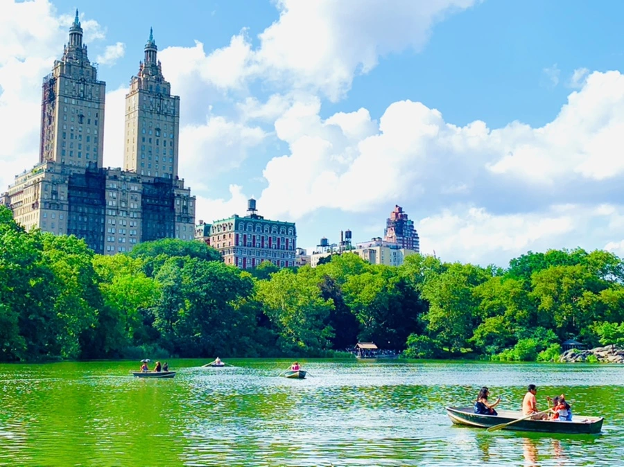 IMG_3431.jpg?type=w966