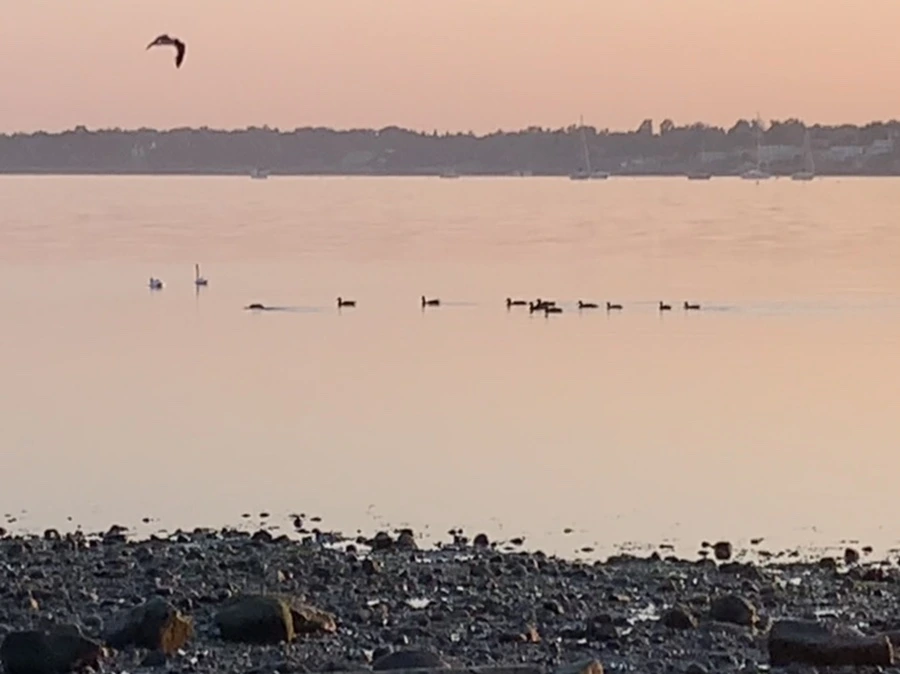 IMG_0208.jpg?type=w966