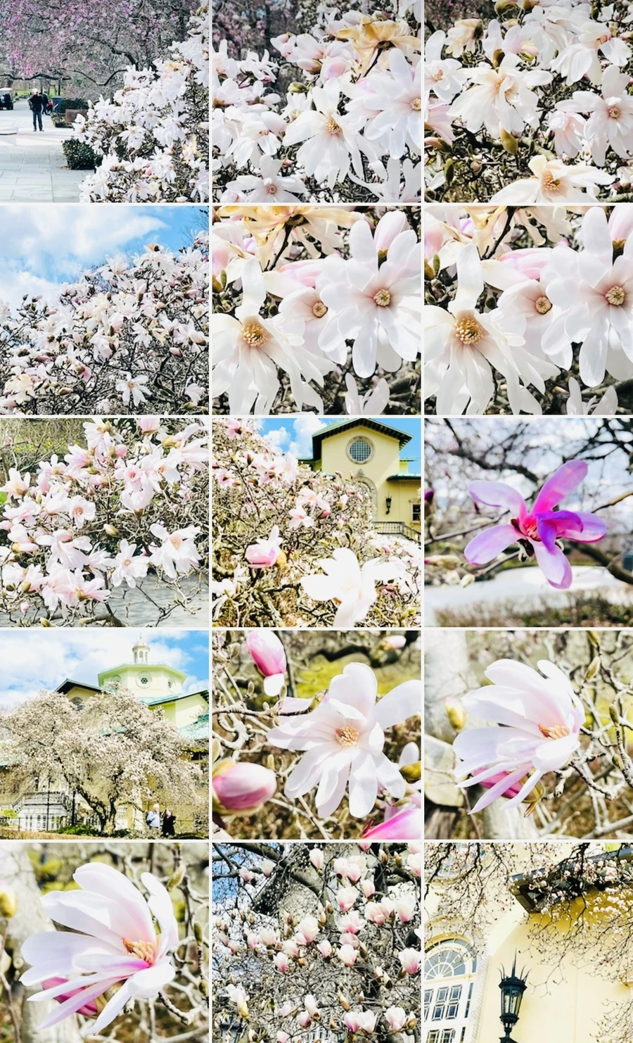 IMG_7296.jpg?type=w966