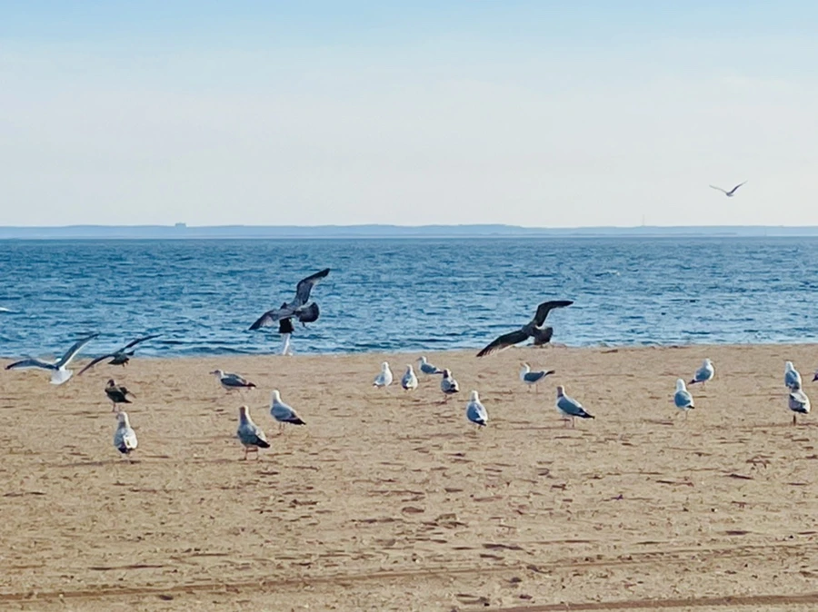 IMG_5048.jpg?type=w966