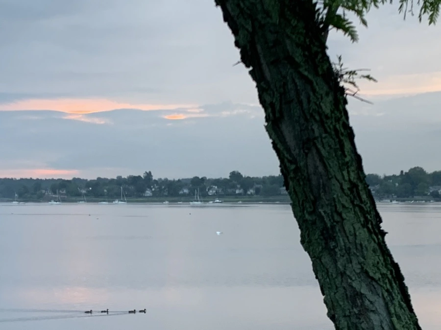 IMG_0162.jpg?type=w966